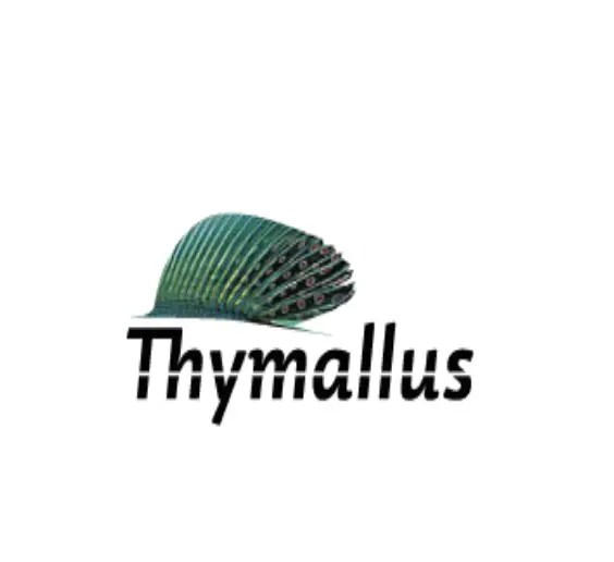 thymallus.com