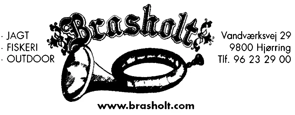 brasholt.com