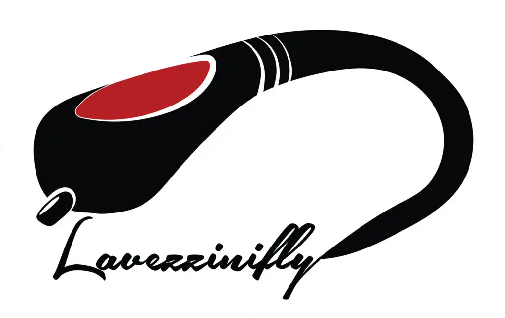 lavezzinifly.it