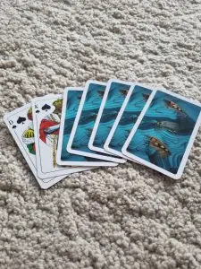 NFD Playing Cards Classic Salmon Flies by Mikael Jenei