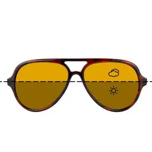 Fortis Sunglasses: Aviator AV’s