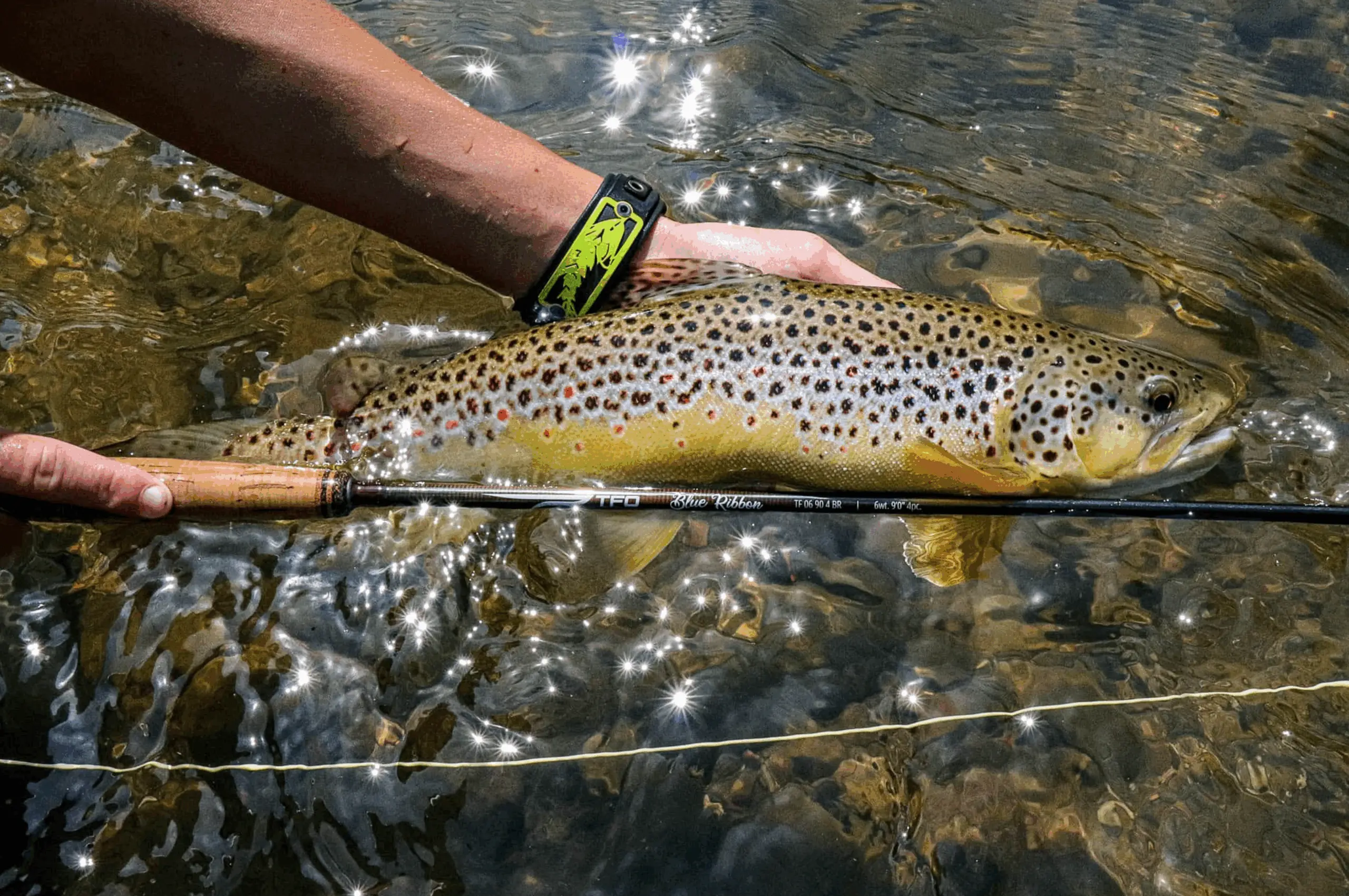 TFO Blue Ribbon Rods - Image 5