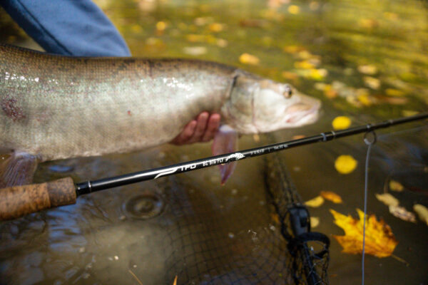 TFO BC Big Fly Rods - Image 5