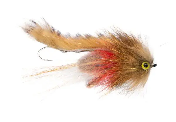 Umpqua Fly Bandit Sculpin Kris Anderson 04
