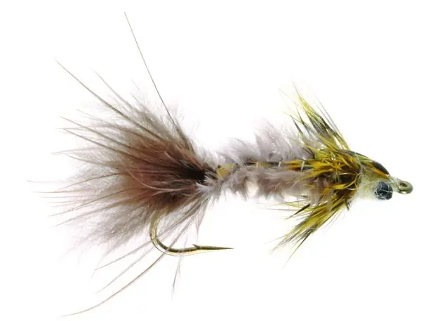 Umpqua Fly Bear’s Saddleback Hex Yellow 6