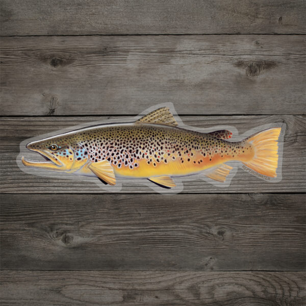 RepYourWater Sticker, Brown Trout