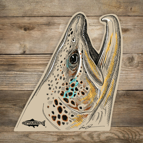 RepYourWater Sticker, Rising Brown