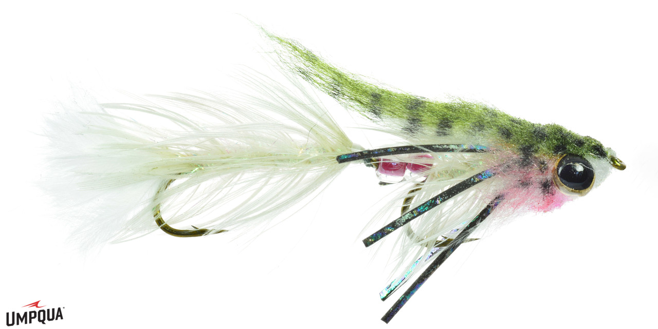 Umpqua Fly Baby Gonga - Image 3