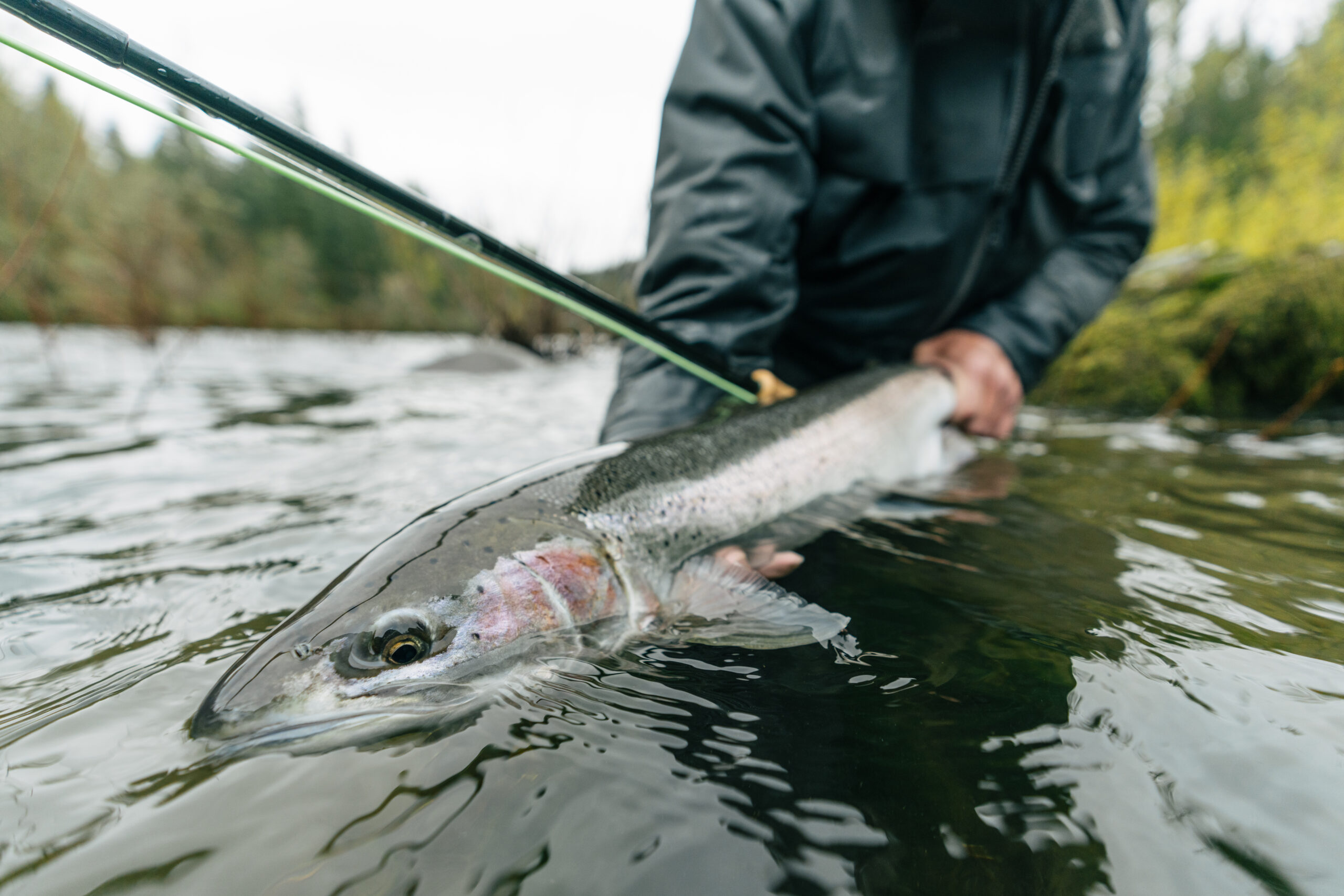 Winston Air 2 TH Spey Rods - Image 7