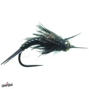Umpqua Fly Little Black Sloan