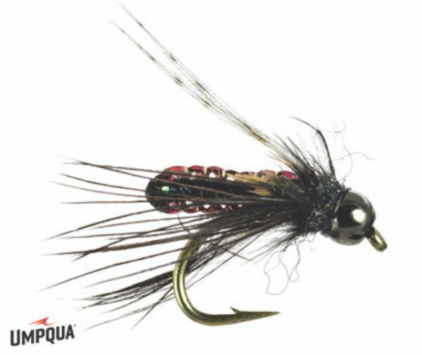 Umpqua Fly Pupa BH