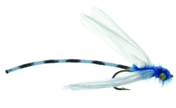 Umpqua Fly Adult Damsel Blue