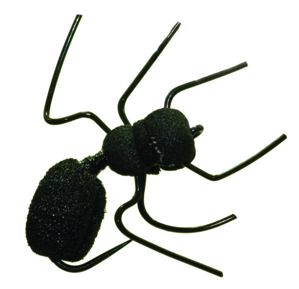 Umpqua Fly Ant Misbehavin’ Logan’s