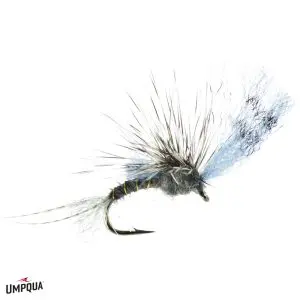 Umpqua Fly Film Critic Quigley