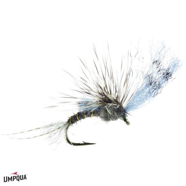 Umpqua Fly Film Critic Quigley