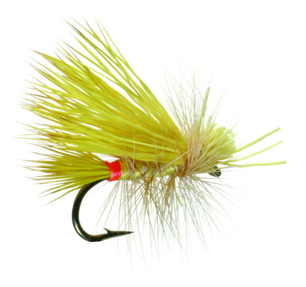 Umpqua Fly Little Yellow Stone Female 14