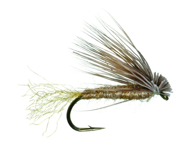 Umpqua Fly X Caddis Mathews