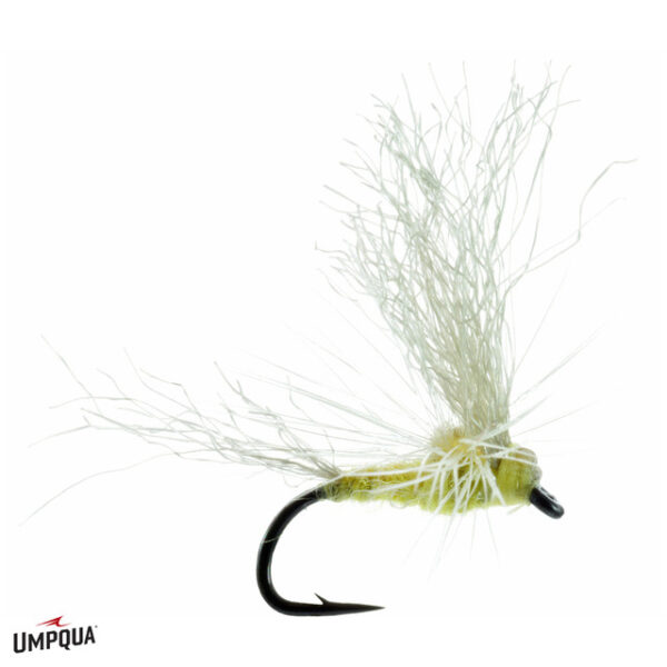 Umpqua Fly May Day