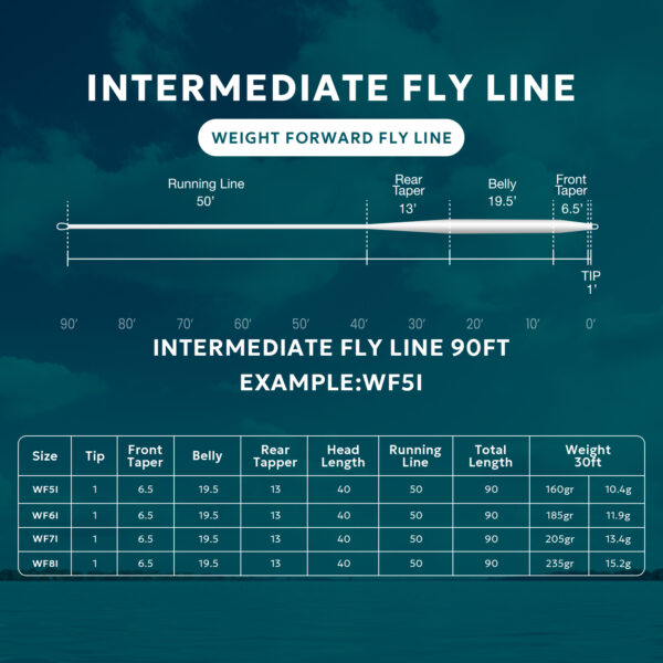 Sunshine Intermediate Line WF x I - Image 2